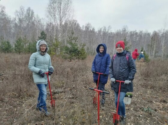Участники проекта «Другое Дело» спасли 200 деревьев